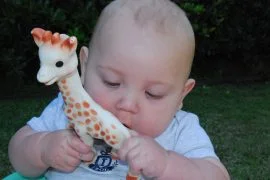 sophie la girafe