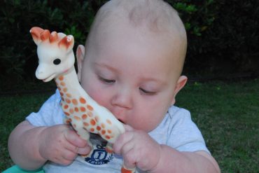 sophie la girafe