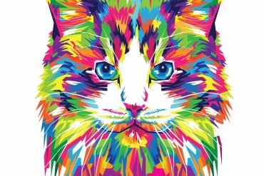 agence communication