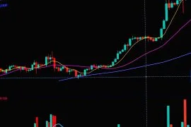 Investir en bourse pour débutants : le guide complet