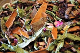 Les parfums floraux : idéal pour le printemps